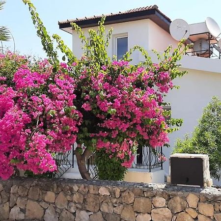 Villa Bougainvillea With Privite Pool Vasilia Ngoại thất bức ảnh