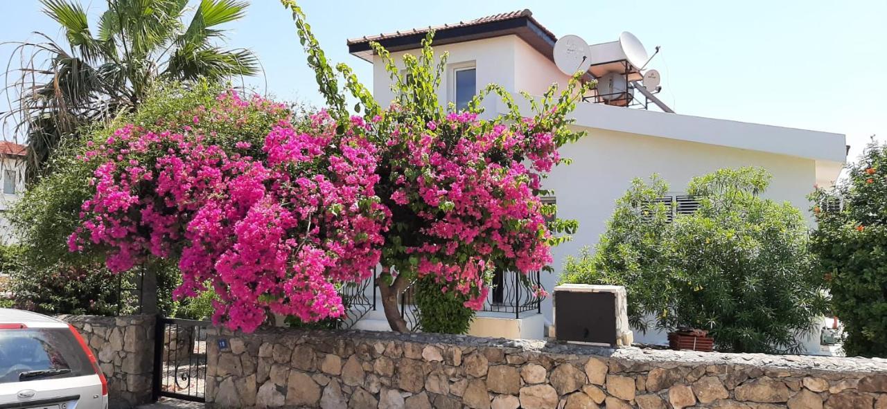 Villa Bougainvillea With Privite Pool Vasilia Ngoại thất bức ảnh