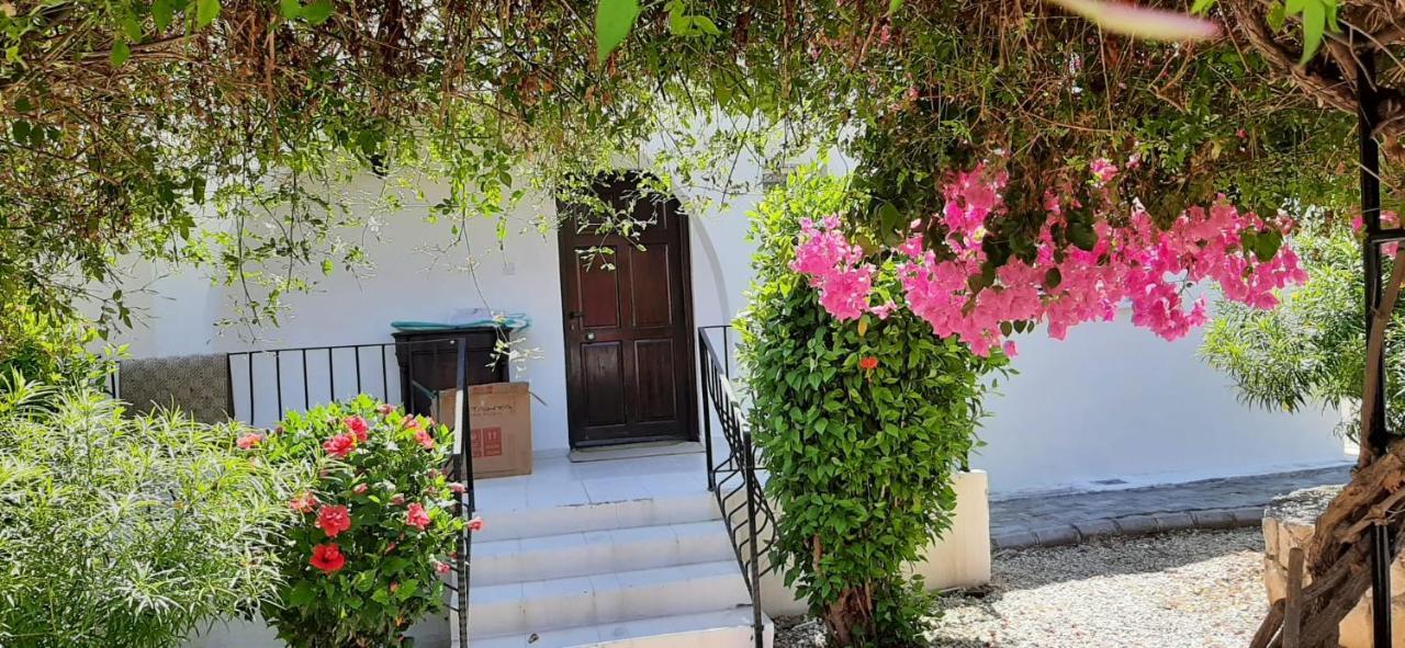 Villa Bougainvillea With Privite Pool Vasilia Ngoại thất bức ảnh